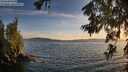 ./images/koeye/fitz-hugh/20260622/fitz-hugh20260622_210502M.jpg
