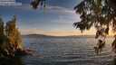 ./images/koeye/fitz-hugh/20260622/fitz-hugh20260622_211501M.jpg