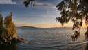./images/koeye/fitz-hugh/20260622/fitz-hugh20260622_212001M.jpg