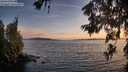 ./images/koeye/fitz-hugh/20260622/fitz-hugh20260622_214501M.jpg