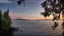 ./images/koeye/fitz-hugh/20260622/fitz-hugh20260622_215002M.jpg