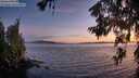./images/koeye/fitz-hugh/20260622/fitz-hugh20260622_220502M.jpg