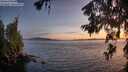 ./images/koeye/fitz-hugh/20260622/fitz-hugh20260622_221001M.jpg