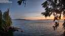 ./images/koeye/fitz-hugh/20260622/fitz-hugh20260622_221501M.jpg