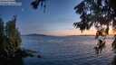 ./images/koeye/fitz-hugh/20260622/fitz-hugh20260622_222501M.jpg