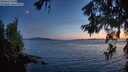 ./images/koeye/fitz-hugh/20260622/fitz-hugh20260622_223501M.jpg