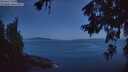 ./images/koeye/fitz-hugh/20260623/fitz-hugh20260623_042501M.jpg