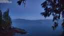 ./images/koeye/fitz-hugh/20260623/fitz-hugh20260623_043501M.jpg