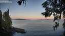 ./images/koeye/fitz-hugh/20260623/fitz-hugh20260623_053001M.jpg