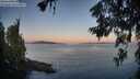 ./images/koeye/fitz-hugh/20260623/fitz-hugh20260623_053502M.jpg
