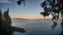 ./images/koeye/fitz-hugh/20260623/fitz-hugh20260623_054001M.jpg