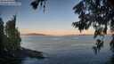 ./images/koeye/fitz-hugh/20260623/fitz-hugh20260623_055002M.jpg