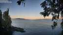 ./images/koeye/fitz-hugh/20260623/fitz-hugh20260623_055501M.jpg