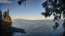 ./images/koeye/fitz-hugh/20260623/fitz-hugh20260623_061001M.jpg