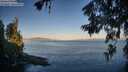 ./images/koeye/fitz-hugh/20260623/fitz-hugh20260623_061501M.jpg