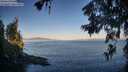 ./images/koeye/fitz-hugh/20260623/fitz-hugh20260623_062501M.jpg
