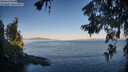 ./images/koeye/fitz-hugh/20260623/fitz-hugh20260623_063002M.jpg