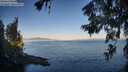 ./images/koeye/fitz-hugh/20260623/fitz-hugh20260623_063501M.jpg