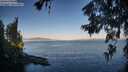 ./images/koeye/fitz-hugh/20260623/fitz-hugh20260623_064001M.jpg