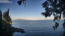 ./images/koeye/fitz-hugh/20260623/fitz-hugh20260623_064501M.jpg