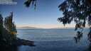 ./images/koeye/fitz-hugh/20260623/fitz-hugh20260623_065002M.jpg