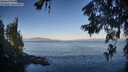 ./images/koeye/fitz-hugh/20260623/fitz-hugh20260623_065501M.jpg