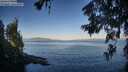 ./images/koeye/fitz-hugh/20260623/fitz-hugh20260623_070002M.jpg