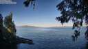 ./images/koeye/fitz-hugh/20260623/fitz-hugh20260623_070501M.jpg