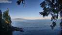 ./images/koeye/fitz-hugh/20260623/fitz-hugh20260623_071001M.jpg