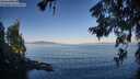 ./images/koeye/fitz-hugh/20260623/fitz-hugh20260623_071501M.jpg