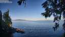 ./images/koeye/fitz-hugh/20260623/fitz-hugh20260623_072501M.jpg