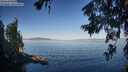 ./images/koeye/fitz-hugh/20260623/fitz-hugh20260623_073001M.jpg