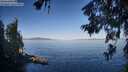./images/koeye/fitz-hugh/20260623/fitz-hugh20260623_073501M.jpg