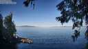 ./images/koeye/fitz-hugh/20260623/fitz-hugh20260623_074001M.jpg