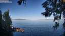 ./images/koeye/fitz-hugh/20260623/fitz-hugh20260623_074502M.jpg