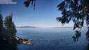 ./images/koeye/fitz-hugh/20260623/fitz-hugh20260623_075002M.jpg