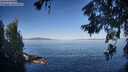 ./images/koeye/fitz-hugh/20260623/fitz-hugh20260623_080001M.jpg