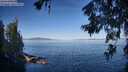 ./images/koeye/fitz-hugh/20260623/fitz-hugh20260623_081001M.jpg