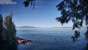 ./images/koeye/fitz-hugh/20260623/fitz-hugh20260623_081501M.jpg