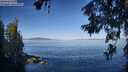 ./images/koeye/fitz-hugh/20260623/fitz-hugh20260623_082502M.jpg