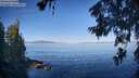 ./images/koeye/fitz-hugh/20260623/fitz-hugh20260623_083001M.jpg
