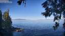 ./images/koeye/fitz-hugh/20260623/fitz-hugh20260623_083501M.jpg
