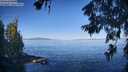 ./images/koeye/fitz-hugh/20260623/fitz-hugh20260623_084001M.jpg