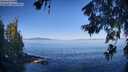 ./images/koeye/fitz-hugh/20260623/fitz-hugh20260623_084501M.jpg