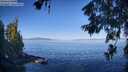 ./images/koeye/fitz-hugh/20260623/fitz-hugh20260623_085001M.jpg
