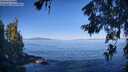 ./images/koeye/fitz-hugh/20260623/fitz-hugh20260623_085501M.jpg