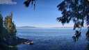 ./images/koeye/fitz-hugh/20260623/fitz-hugh20260623_090501M.jpg
