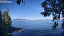 ./images/koeye/fitz-hugh/20260623/fitz-hugh20260623_091001M.jpg