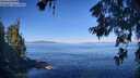 ./images/koeye/fitz-hugh/20260623/fitz-hugh20260623_092001M.jpg