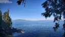 ./images/koeye/fitz-hugh/20260623/fitz-hugh20260623_092502M.jpg